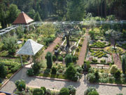 Bild Barockgarten