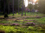 Bild Landschaft