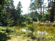Bild Landschaft